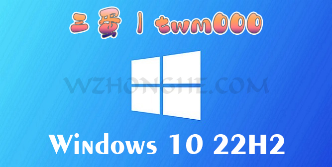 三蛋.twm000 Windows_10_22H2 - 无中和wzhonghe.com